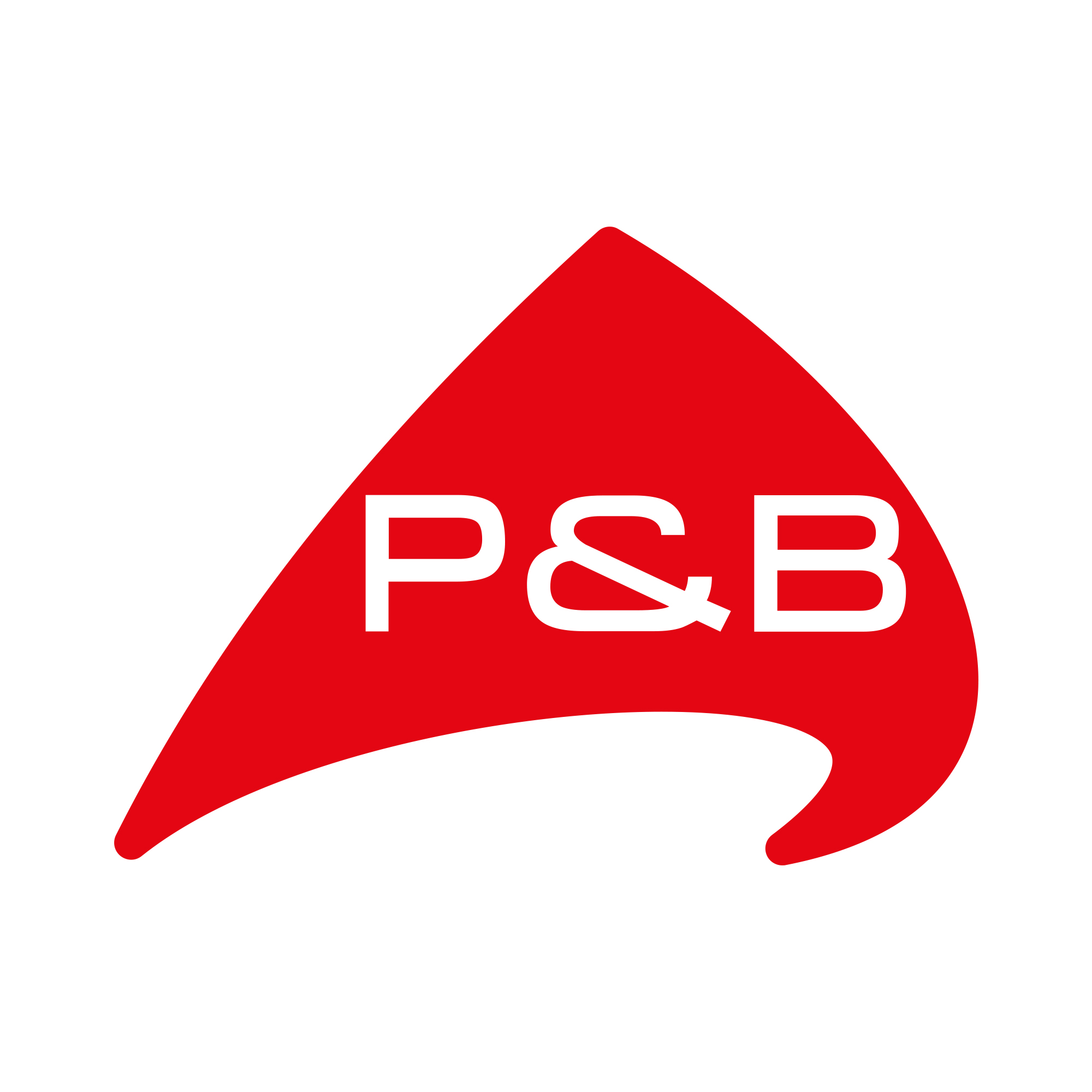 P & B Logo
